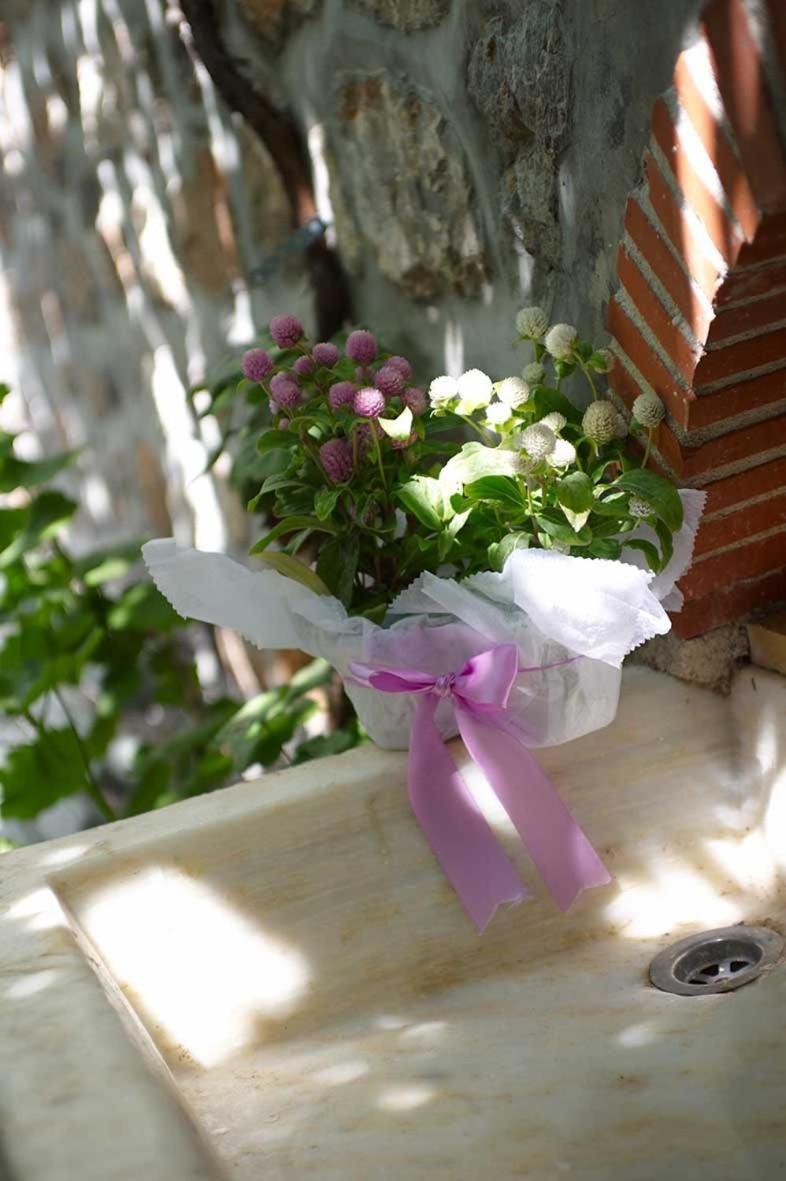 Pension Erofili Ídra Kültér fotó